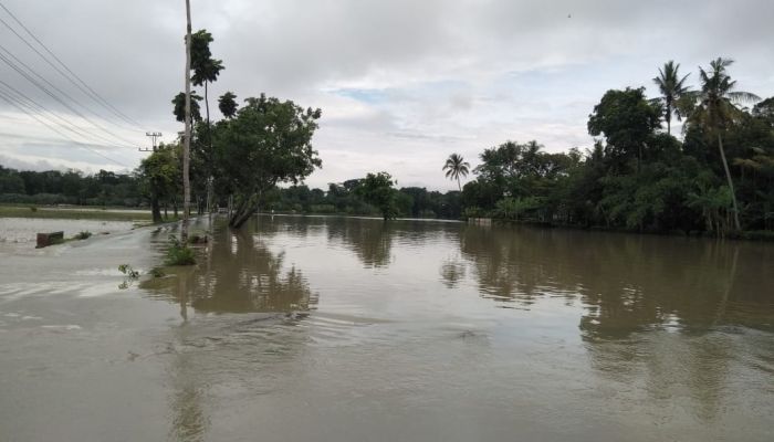 Banjir di Desa Jatimulyo Kecamatan Kuwarasan Kabupaten Kebumen 01