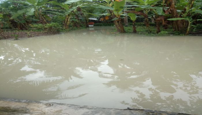 Banjir di Desa Jatimulyo Kecamatan Kuwarasan Kabupaten Kebumen 02